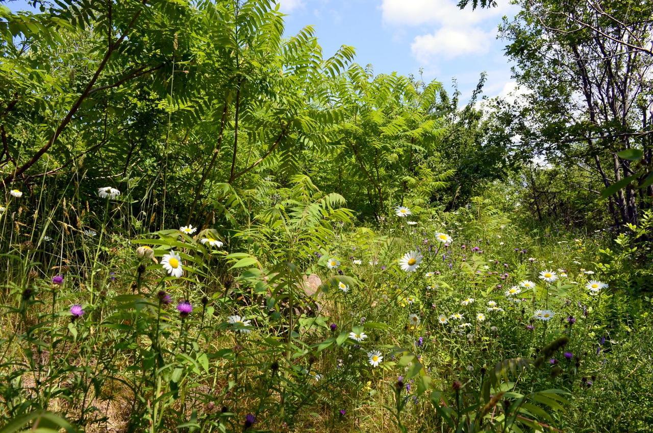 Still Point Lodge Deep Brook ภายนอก รูปภาพ